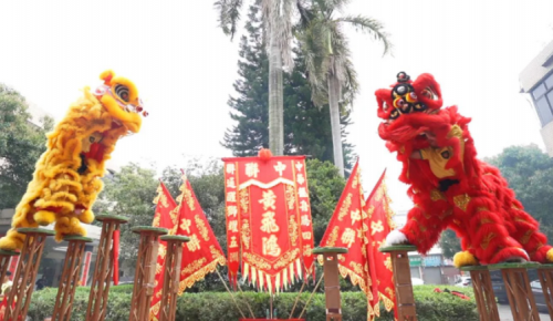 龙腾狮跃，共铸鲜丽将来！